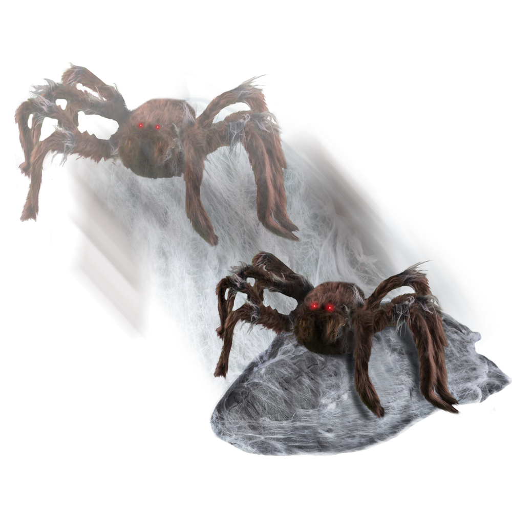 Brown Jumping Spider™