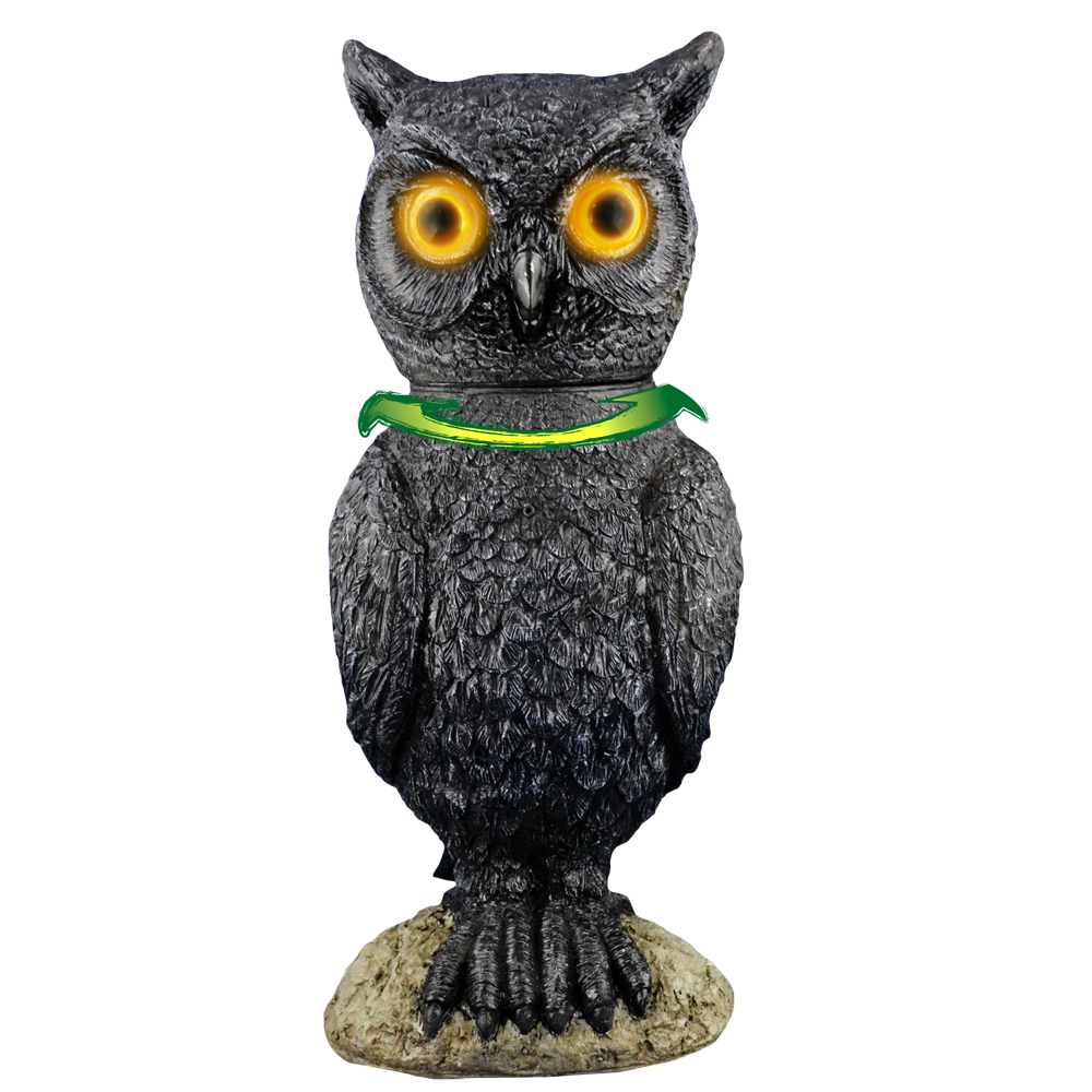 Standing Owl™